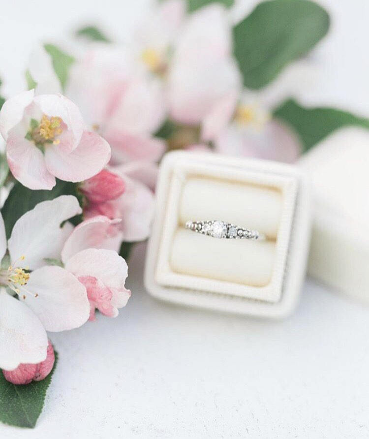 Velvet Ring Boxes – The Family Joolz