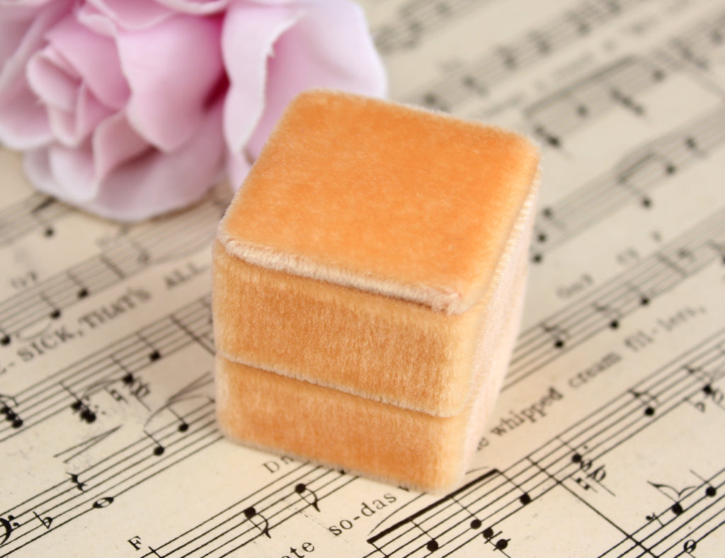 the family joolz Velvet Ring Box in Mango